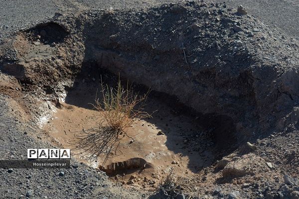 پروژه نهالکاری در منطقه شهرستان خور