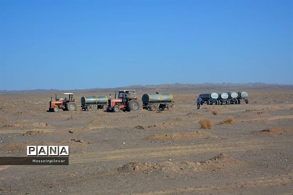 پروژه نهالکاری در منطقه شهرستان خور