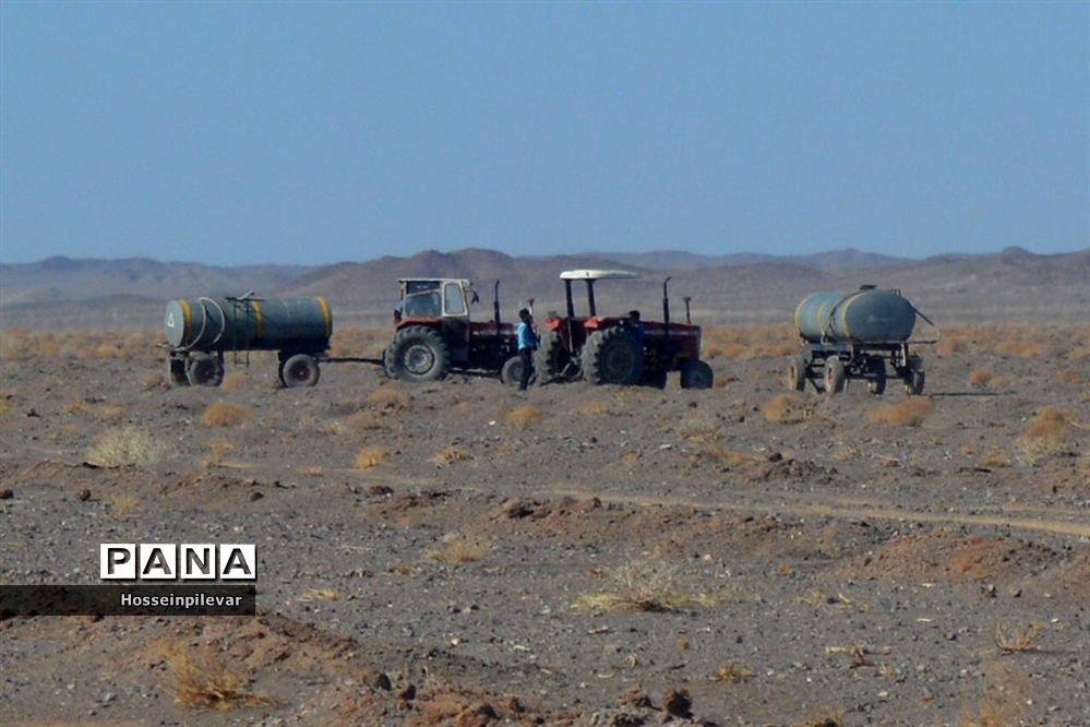 پروژه نهالکاری در منطقه شهرستان خور