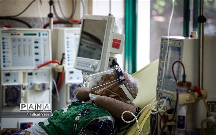 از رکوردشکنی فوتی‌های کرونایی تا گشایش‌ برای ورود واکسن فایزر به کشور