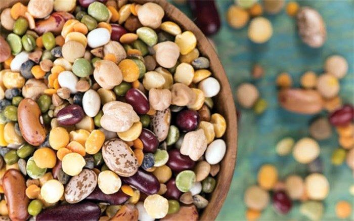 درباره ضدمغذی‌ها چه می‌دانیم