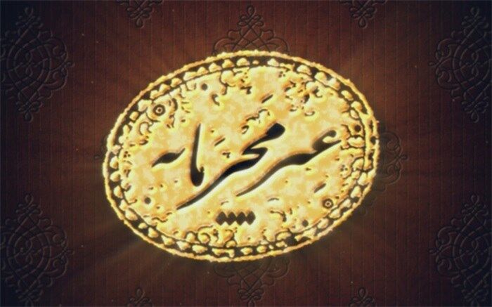 نگاه به حوزه کسب و کار مشاغل خانگی باید بلند محور باشد