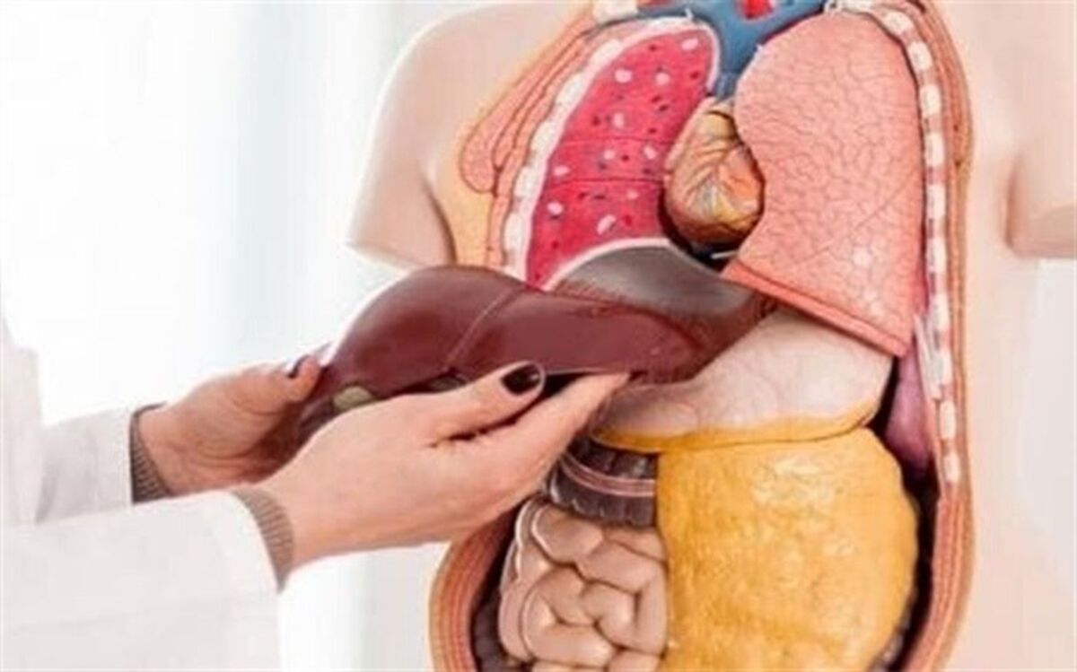 بدون این 10 عضو هم زنده می مانید!