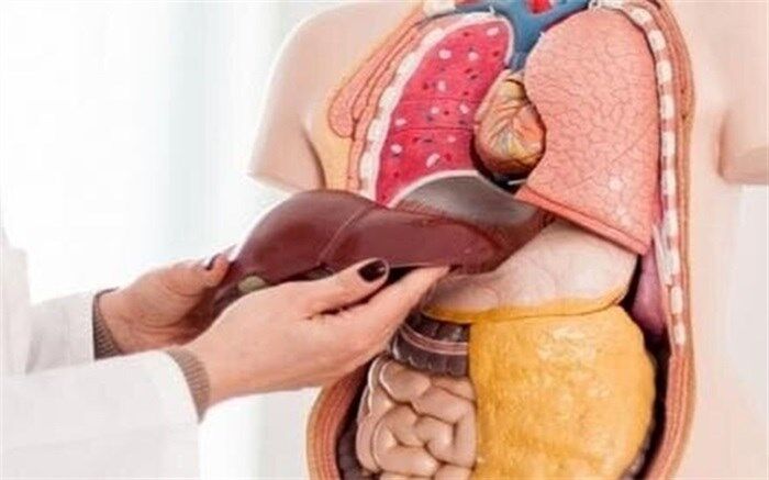 بدون این 10 عضو هم زنده می مانید!