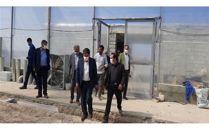 بهره‌برداری دومین مجموعه از واحد‌های گلخانه شهرک سامیان اردبیل