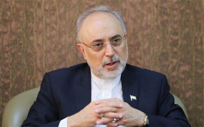 رئیس سابق سازمان انرژی اتمی قائم مقام فرهنگستان علوم شد