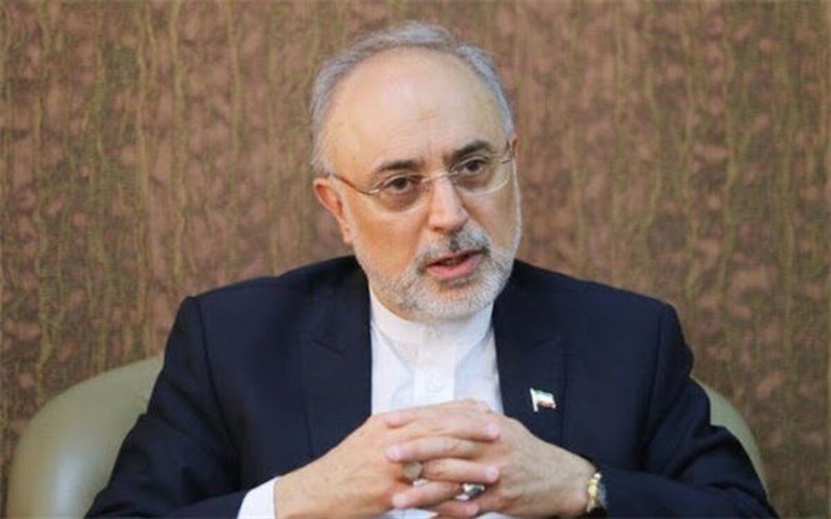 رئیس سابق سازمان انرژی اتمی قائم مقام فرهنگستان علوم شد