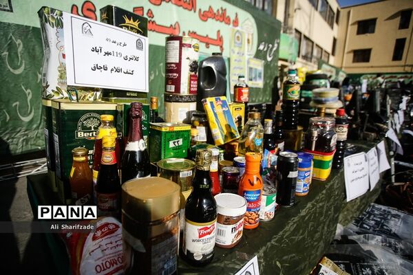 مرحله جدید طرح رعد پلیس پیشگیری پایتخت