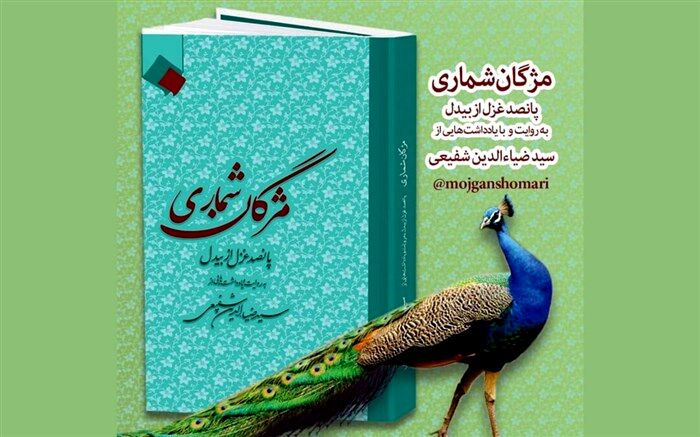 تالیف کتاب «مژگان شماری»از غزل‌های بیدل به پایان رسید