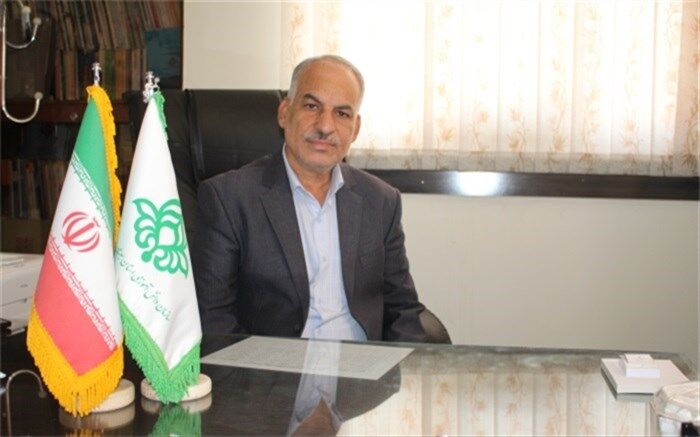 4398 پایگاه مجازی در جشن عاطفه‌های امسال در استان فعالیت دارند