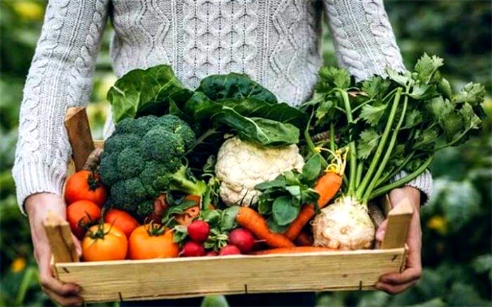 نشانه‌های کمبود مصرف سبزیجات را بدانید