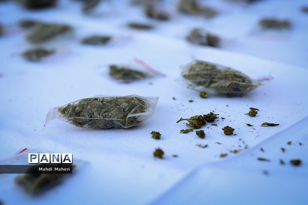 مرحله سیزدهم طرح ظفر