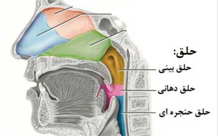 راهکارهای خلاصی از خلط