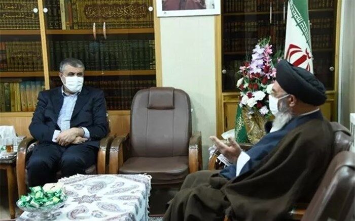مردم منتظرند ببینند چه زمانی انرژی هسته‌ای به تولید برق کمک می‌کند