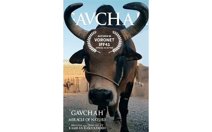 مستند جدید کامران رسول‌زاده به جشنواره رومانی راه یافت