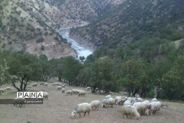 جاذبه های طبیعی روستای مَمَسَنی