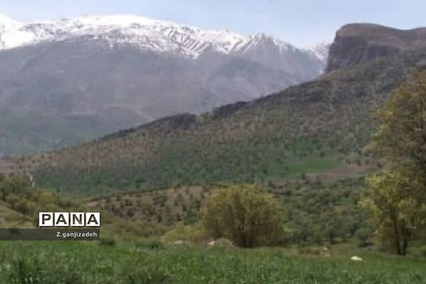 جاذبه های طبیعی روستای مَمَسَنی