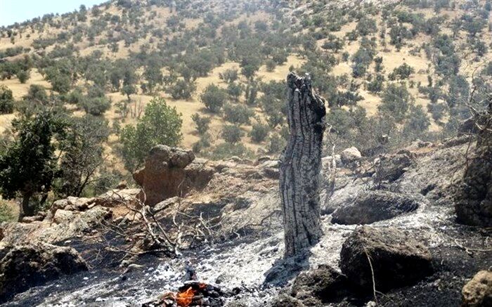 مهار آتش‌سوزی جنگل‌ها و مراتع کوه نیر در منطقه لوداب بویراحمد