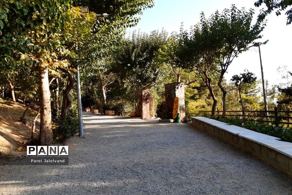 پارک طالقانی