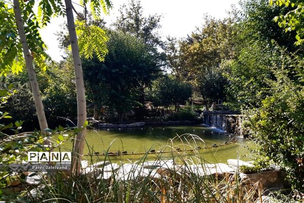 پارک طالقانی