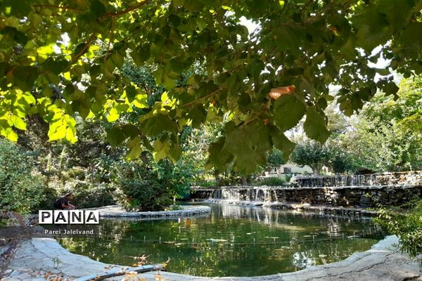 پارک طالقانی