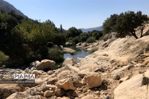 طبیعت زیبای نورآباد ممسنی استان فارس