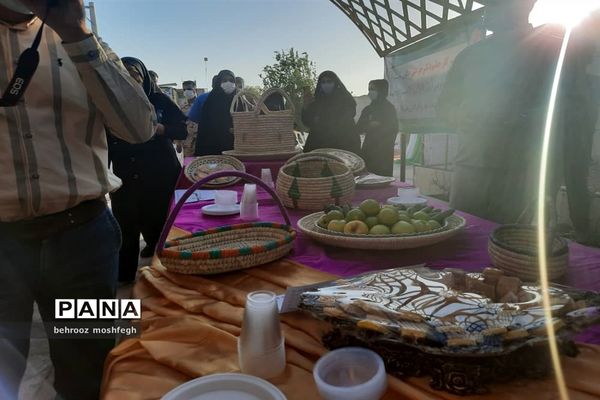 بازدید معاون رئیس جمهور از روستای گردشگری طویبه