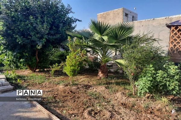 بازدید معاون رئیس جمهور از روستای گردشگری طویبه