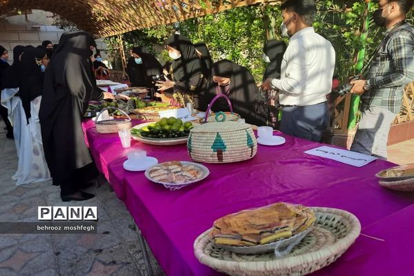 بازدید معاون رئیس جمهور از روستای گردشگری طویبه