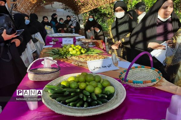 بازدید معاون رئیس جمهور از روستای گردشگری طویبه