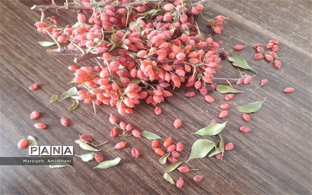خواص  شگفت انگیز مصرف زرشک