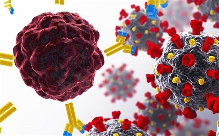 سهل انگاری، موج ششم کرونا را ایجاد می کند