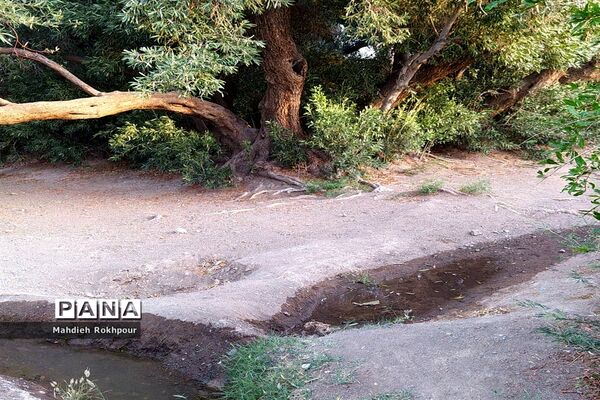 آستان مقدس و گردشگری امامزاده شمس الدین فسون