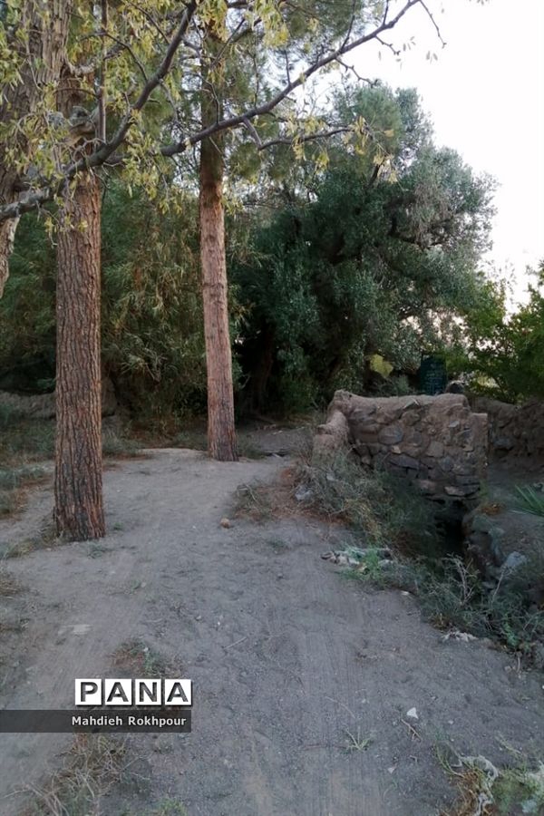 آستان مقدس و گردشگری امامزاده شمس الدین فسون