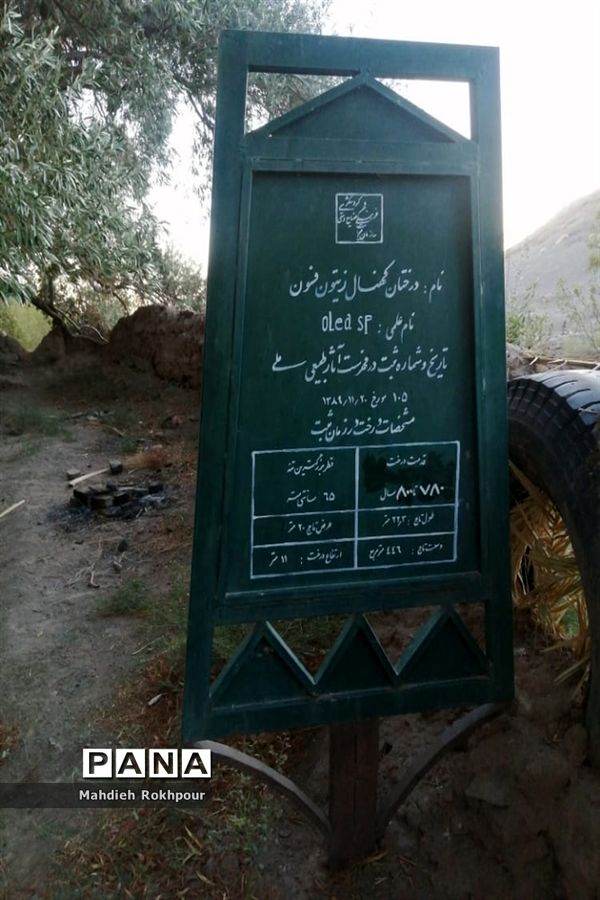 آستان مقدس و گردشگری امامزاده شمس الدین فسون