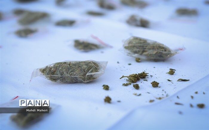 رکورد بی‌سابقه کشفیات مواد مخدر توسط ایران در سال 2020
