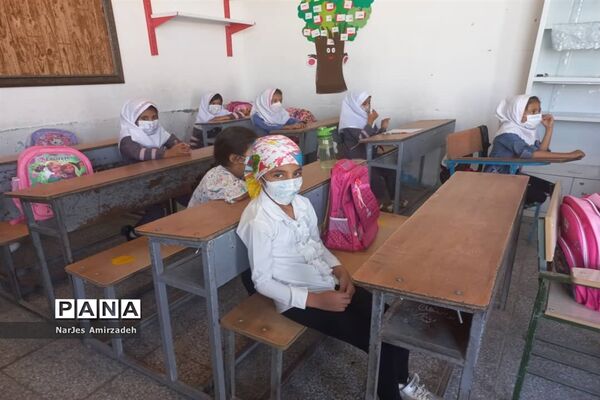 جشن شکوفه‌ها دبستان شایستگان فسا