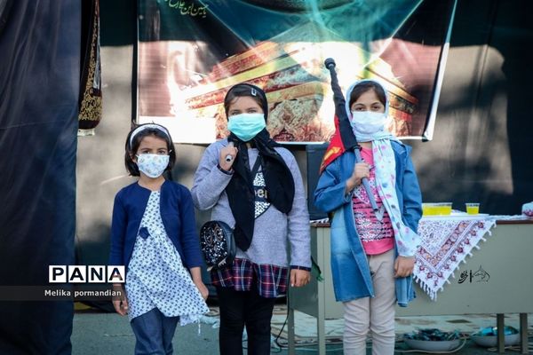 پیاده‌روی جاماندگان اربعین به آستان امامزاده سید صالحه