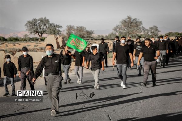 پیاده‌روی جاماندگان اربعین به آستان امامزاده سید صالحه