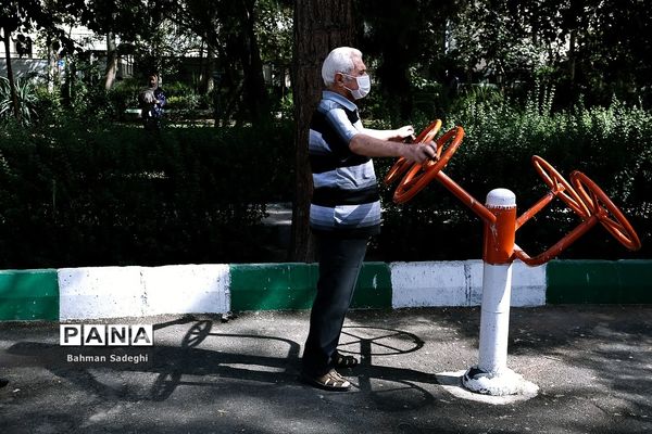 روز جهانی سالمند