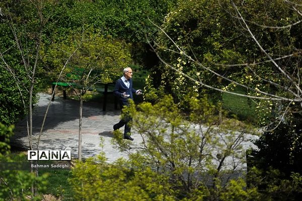 روز جهانی سالمند