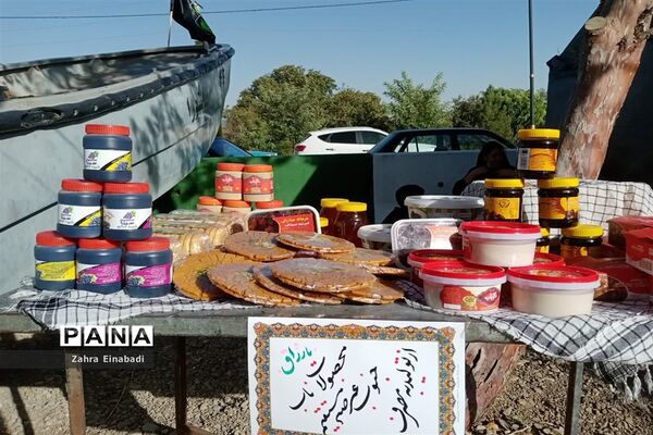برگزاری نمایشگاه به مناسبت ۲۸ صفر در شهرستان ملارد