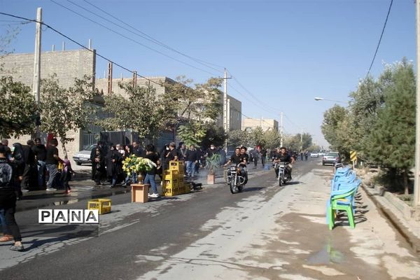 مراسم پیاده‌روی به مناسبت ۲۸ صفر در مهردشت ابرکوه
