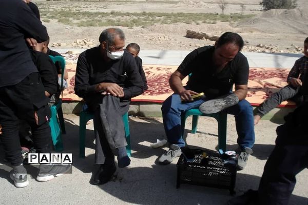 مراسم پیاده‌روی به مناسبت ۲۸ صفر در مهردشت ابرکوه