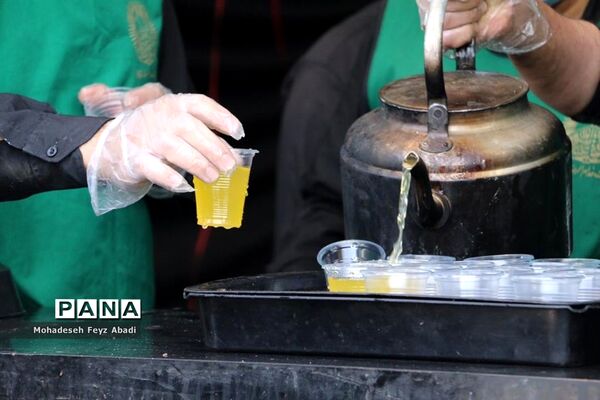 برپایی موکب سلطان خراسان توسط خادمیاران رضوی منطقه ۱۴