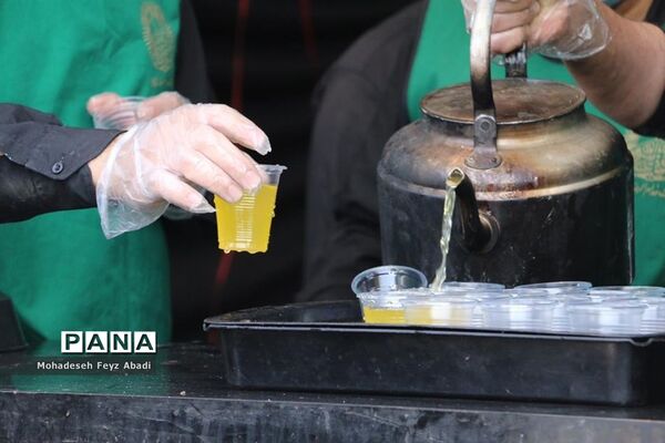 برپایی موکب سلطان خراسان توسط خادمیاران رضوی منطقه ۱۴