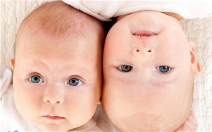 دوقلوهای یکسان اثر انگشت متفاوت دارند؟