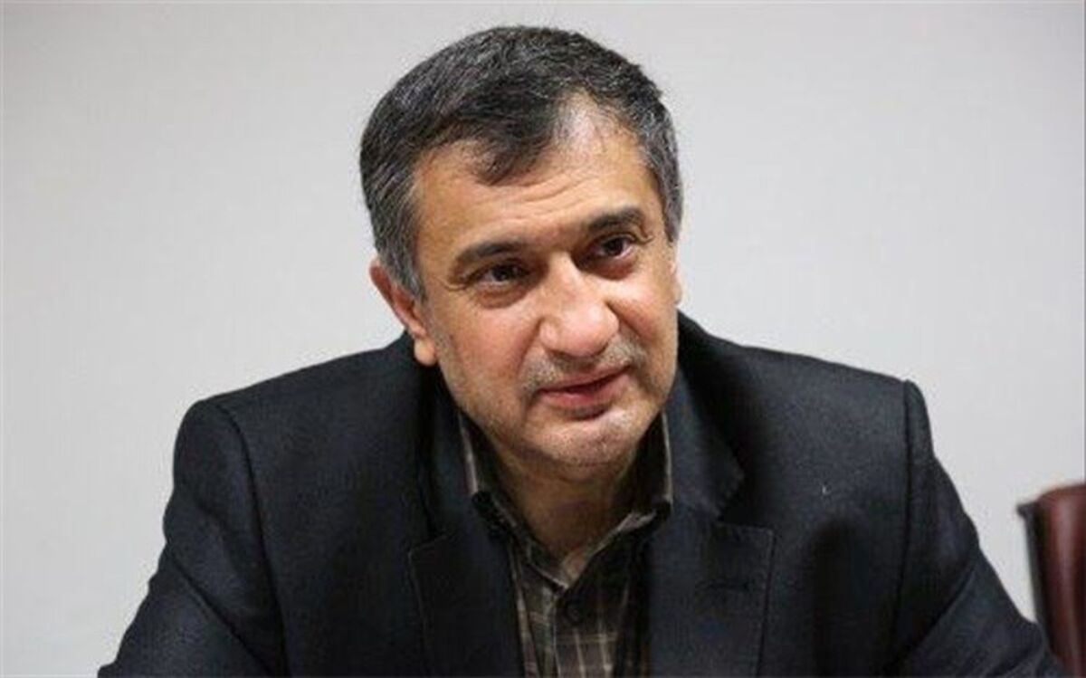لزوم همکاری۳ قوه برای توقف پروژه‌های فاقد مجوز زیست‌محیطی
