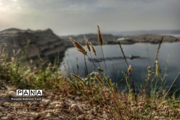 سد مخزنی رئیس‌ علی دلواری در بخش شبانکاره استان بوشهر