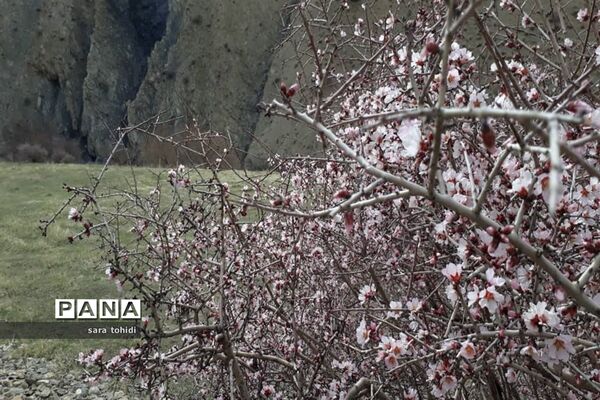 طبیعت زیبای فریدونشهر در استان‌اصفهان